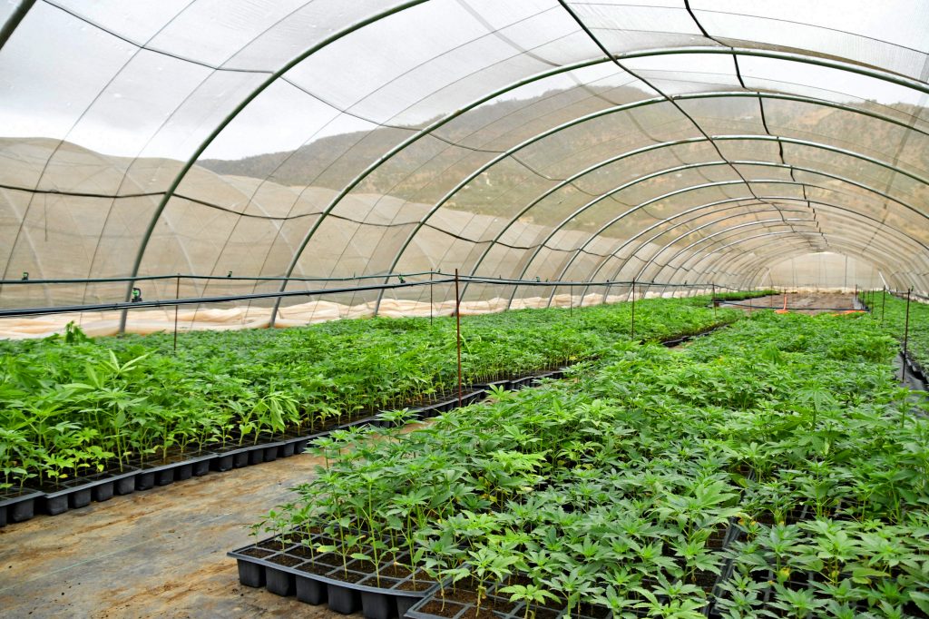 Moroccocanna au SIAM 2025