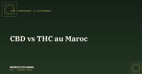 Différence entre CBD et THC au Maroc