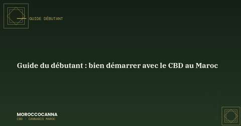 Débuter avec le CBD au Maroc