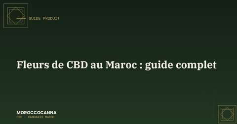 Fleurs de CBD cultivées au Maroc