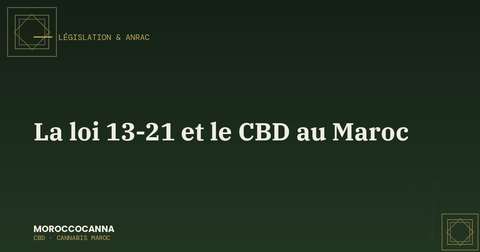 Loi 13-21 sur le CBD au Maroc