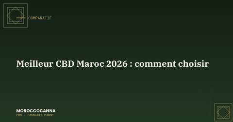 Choisir le meilleur CBD au Maroc